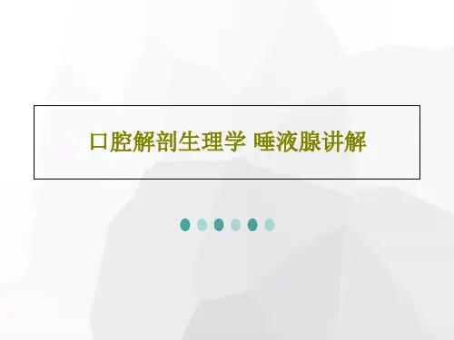 口腔解剖生理学 唾液腺讲解90页PPT
