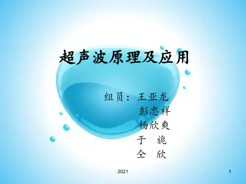 超声波技术及应用PPT课件