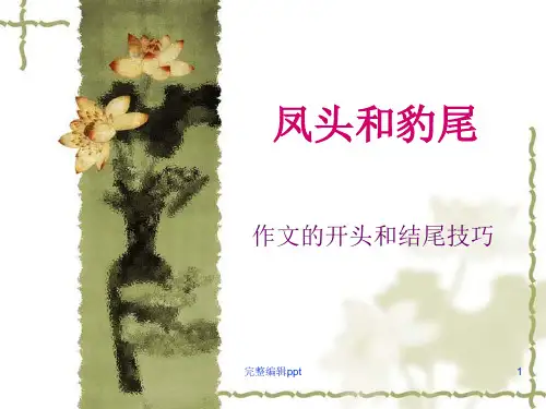 凤头和豹尾--作文的开头和结尾技巧PPT课件