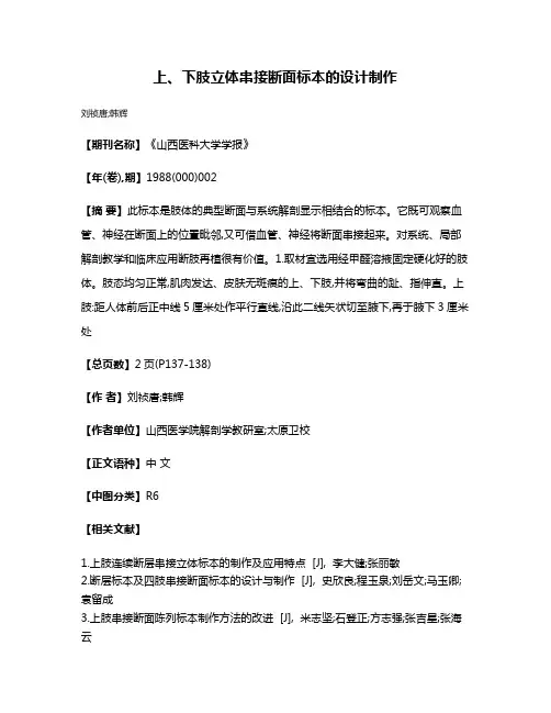 上、下肢立体串接断面标本的设计制作