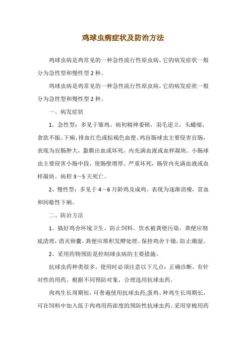 鸡球虫病症状及防治方法