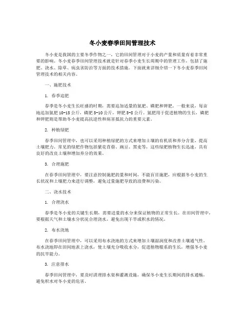 冬小麦春季田间管理技术