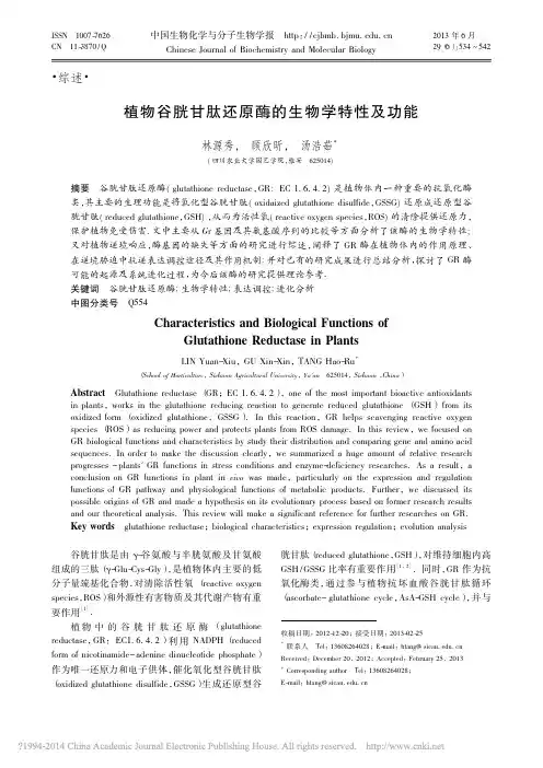 植物谷胱甘肽还原酶的生物学特性及功能_林源秀
