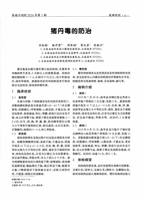 猪丹毒的防治