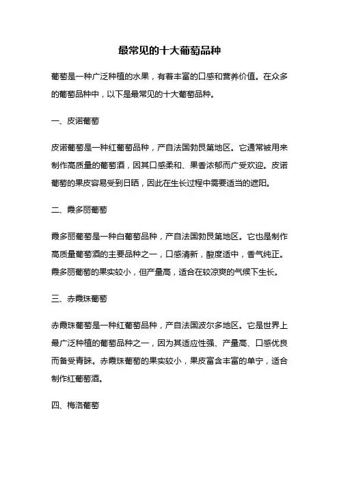 最常见的十大葡萄品种