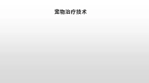 宠物治疗技术