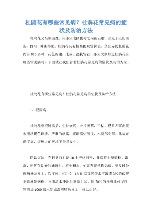 杜鹃花有哪些常见病？杜鹃花常见病的症状及防治方法