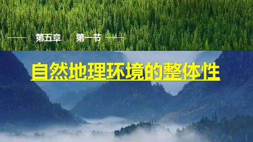 5.1自然环境的整体性+课件高二地理中图版(2019)选择性必修一