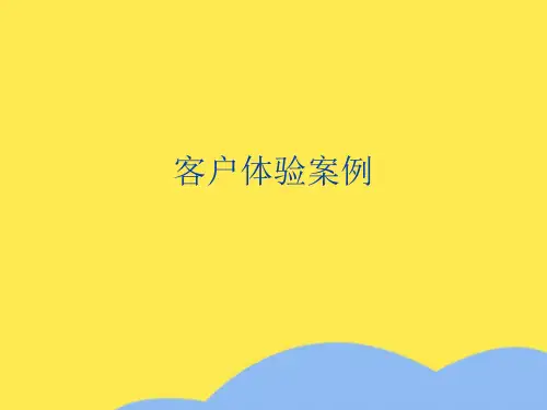 客户体验案例优选PPT文档