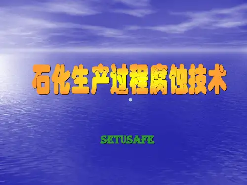 石化防腐技术讲座讲解ppt课件