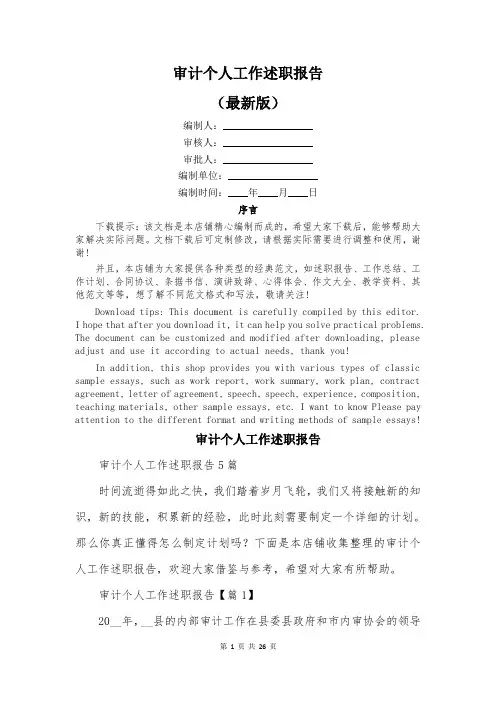 审计个人工作述职报告