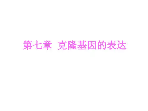 基因工程7克隆基因的表达概述PPT模版(41页)