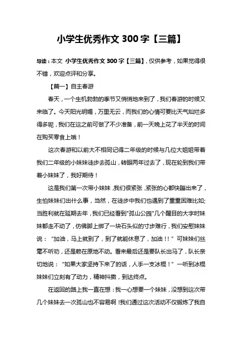 小学生优秀作文300字【三篇】