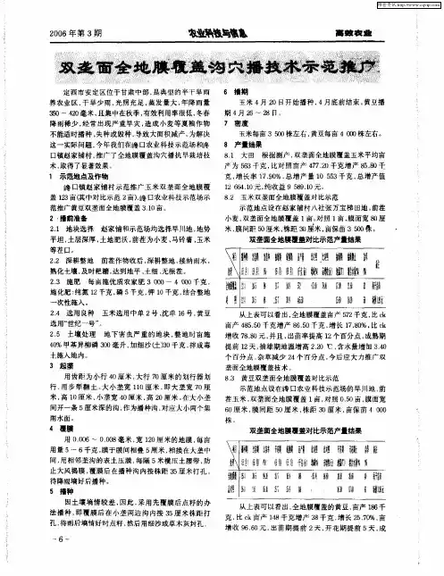 双垄面全地膜覆盖沟穴播技术示范推广