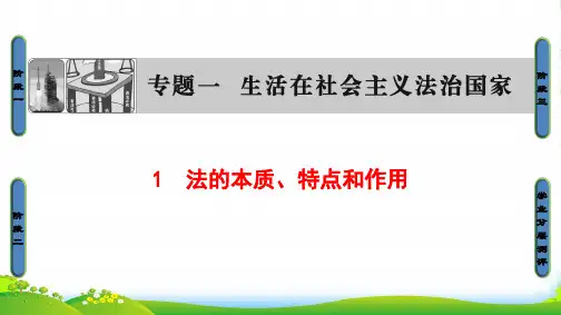 版高中政治人教版选修五课件：专题1 1 生活在法治国家