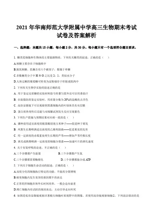 2021年华南师范大学附属中学高三生物期末考试试卷及答案解析