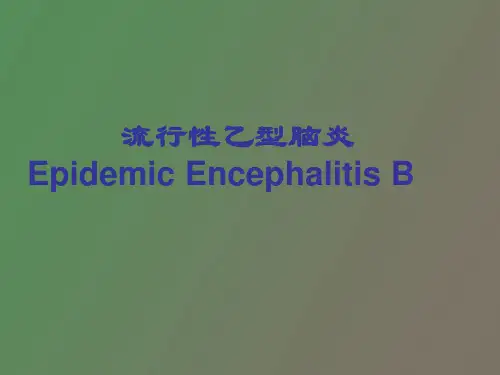 流脑和乙脑的诊断鉴别诊断与治疗