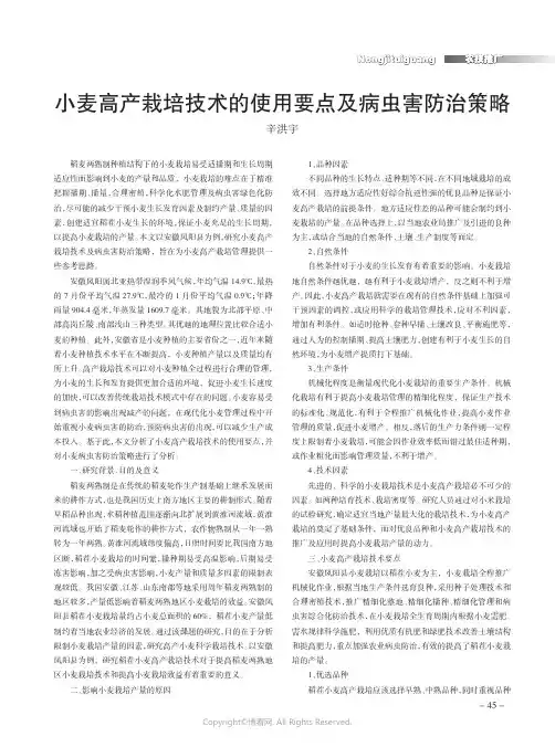 小麦高产栽培技术的使用要点及病虫害防治策略
