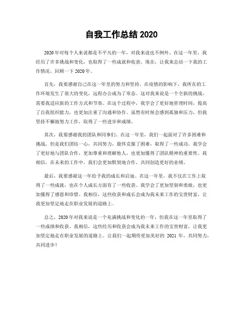 自我工作总结2020