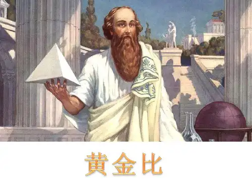 六年级下册数学课件黄金比北京版1