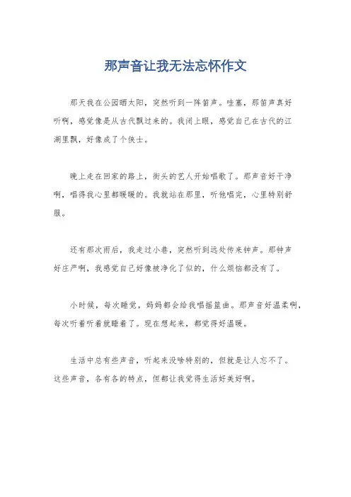 那声音让我无法忘怀作文