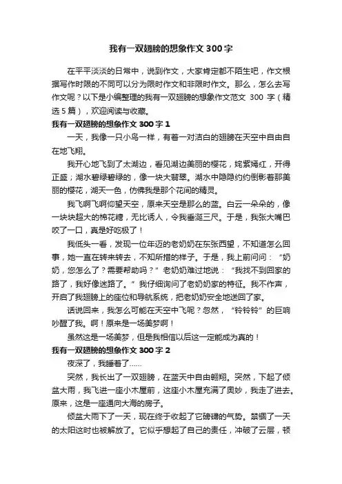 我有一双翅膀的想象作文范文300字（精选5篇）