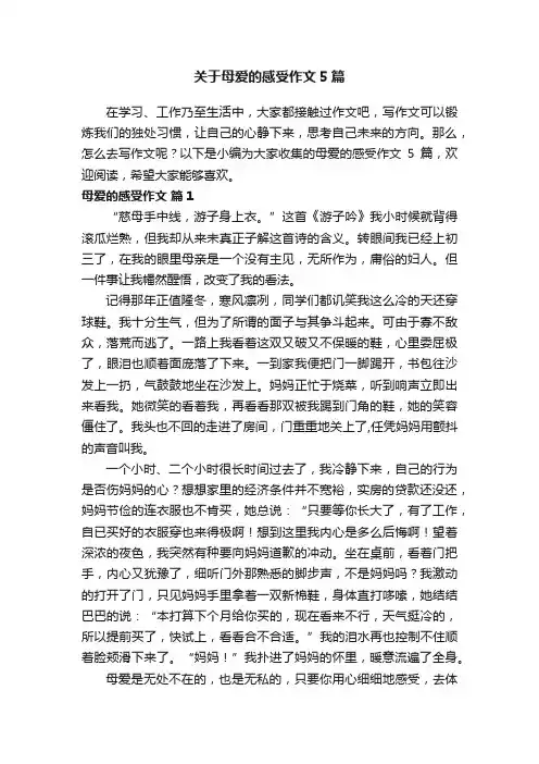 关于母爱的感受作文5篇