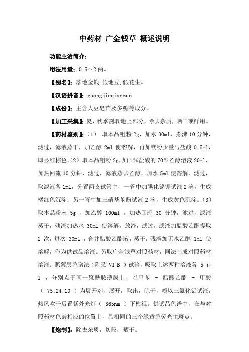 中药材 广金钱草 概述说明