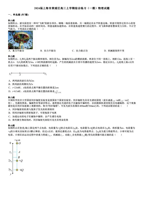 2024届上海市黄浦区高三上学期综合练习(一模)物理试题