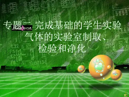 人教版初中化学复习课：气体的实验室制取 检验和净化 课件