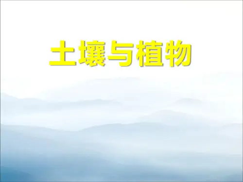 《土壤与植物》PPT课件【优秀课件PPT】