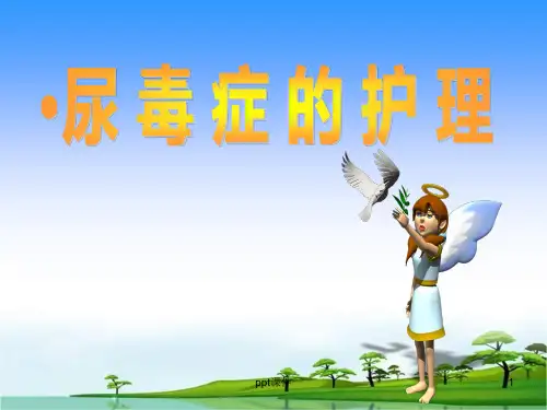 尿毒症护理查房  ppt课件