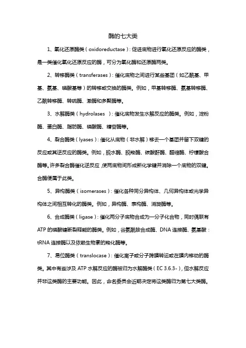 酶的七大类