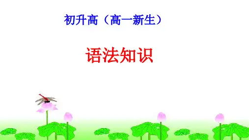 初升高(高一新生) 语文语法知识