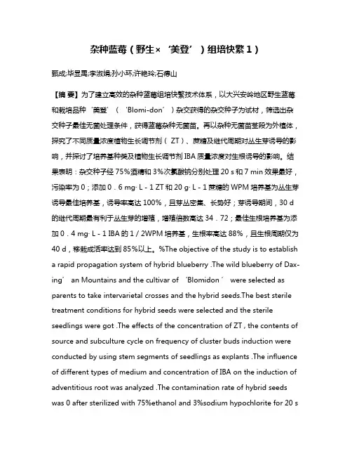 杂种蓝莓（野生×‘美登’）组培快繁1）
