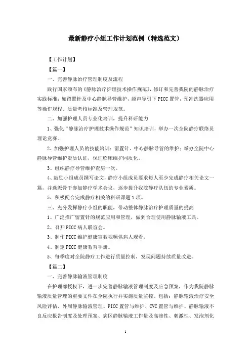 最新静疗小组工作计划范例(精选范文)