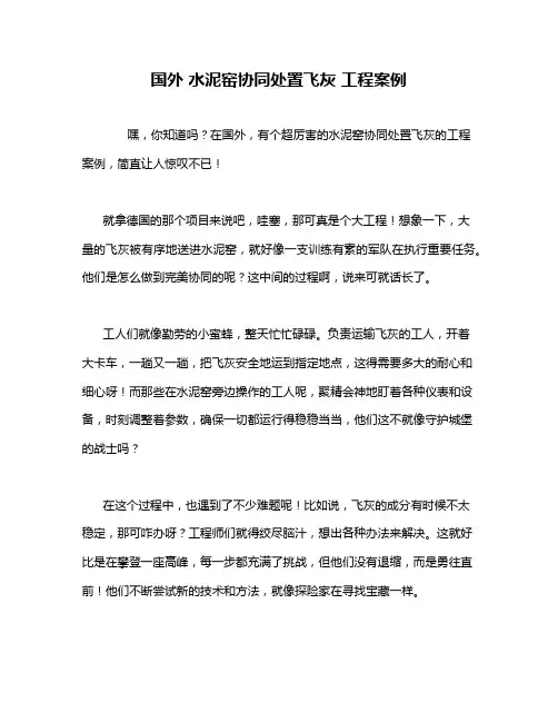国外 水泥窑协同处置飞灰 工程案例