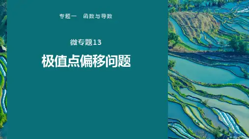高中数学专题 微专题13 极值点偏移问题