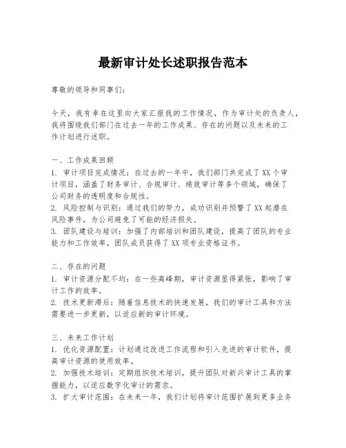 最新审计处长述职报告范本
