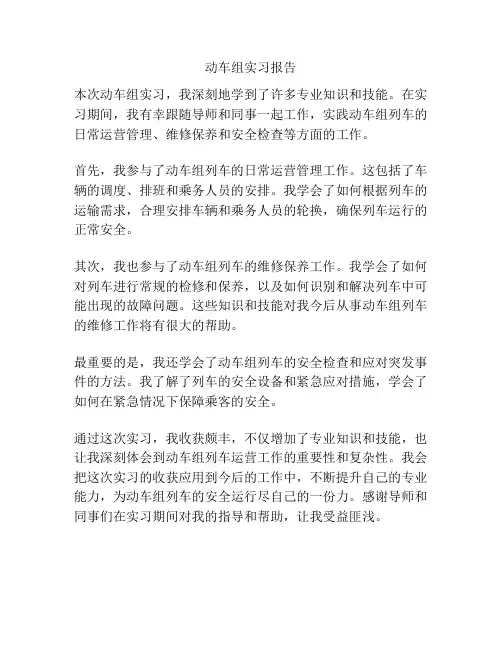 动车组实习报告