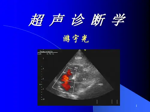 超声诊断学基础和原理