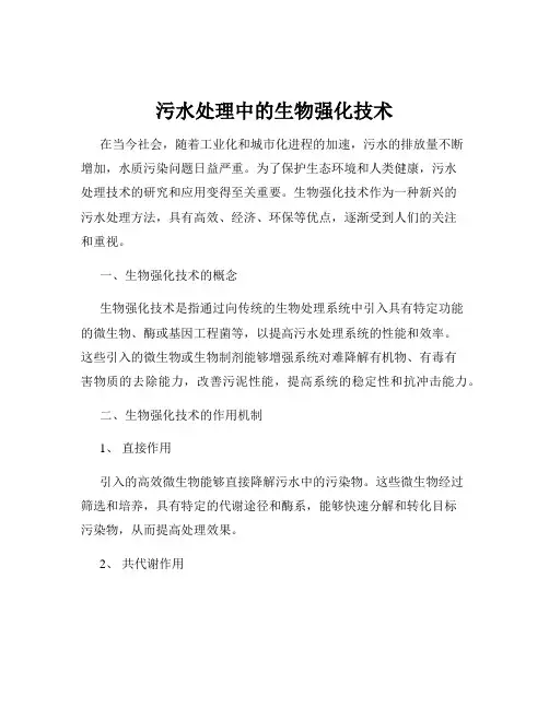 污水处理中的生物强化技术