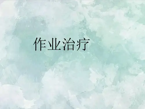 课件：作业治疗康复辅具