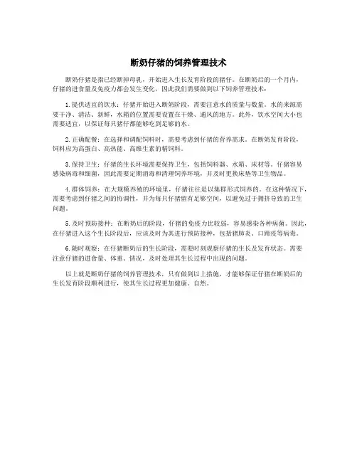 断奶仔猪的饲养管理技术