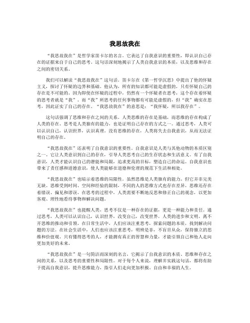 我思故我在