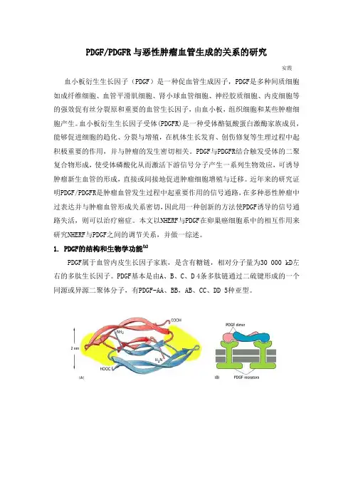 综述-PDGF、PDGFR与肿瘤血管生成的关系的研究1