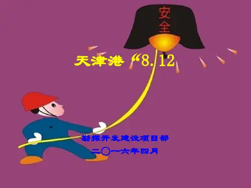 天津港8.12火灾爆炸事故
