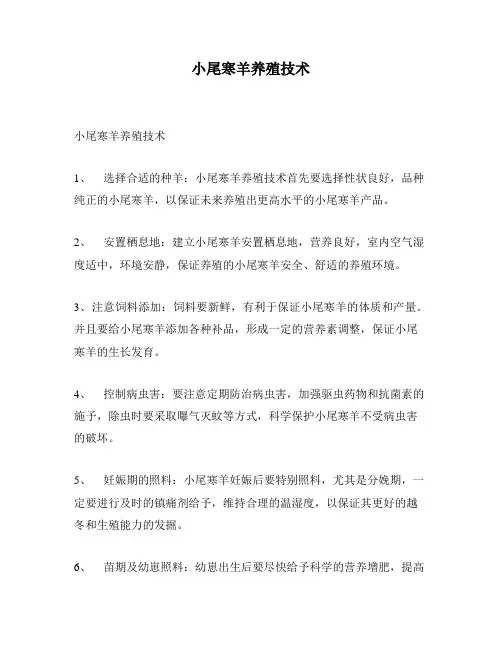 小尾寒羊养殖技术