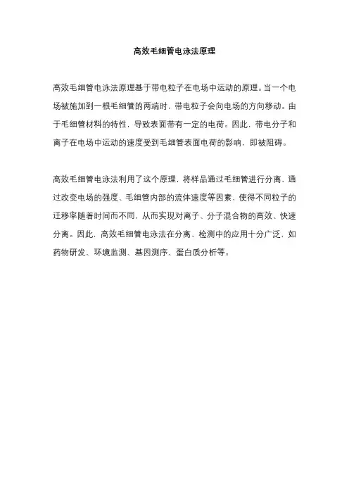 高效毛细管电泳法原理