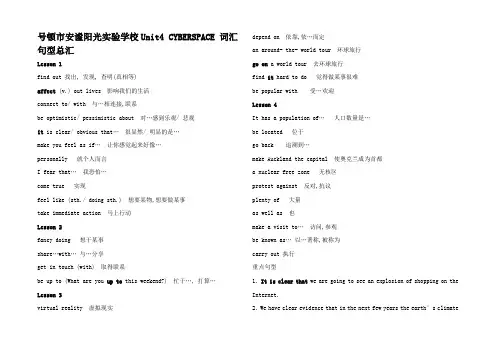 高中英语Unit4 CYBERSPACE 词汇句型总汇